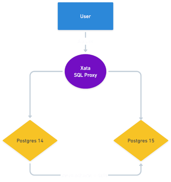 Xata clusters and proxy